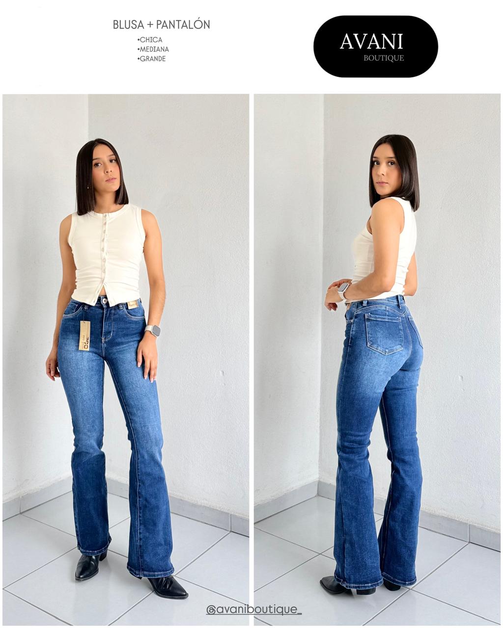 Modelo 5