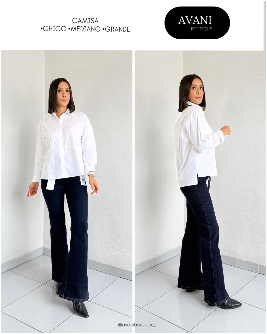 Modelo 8