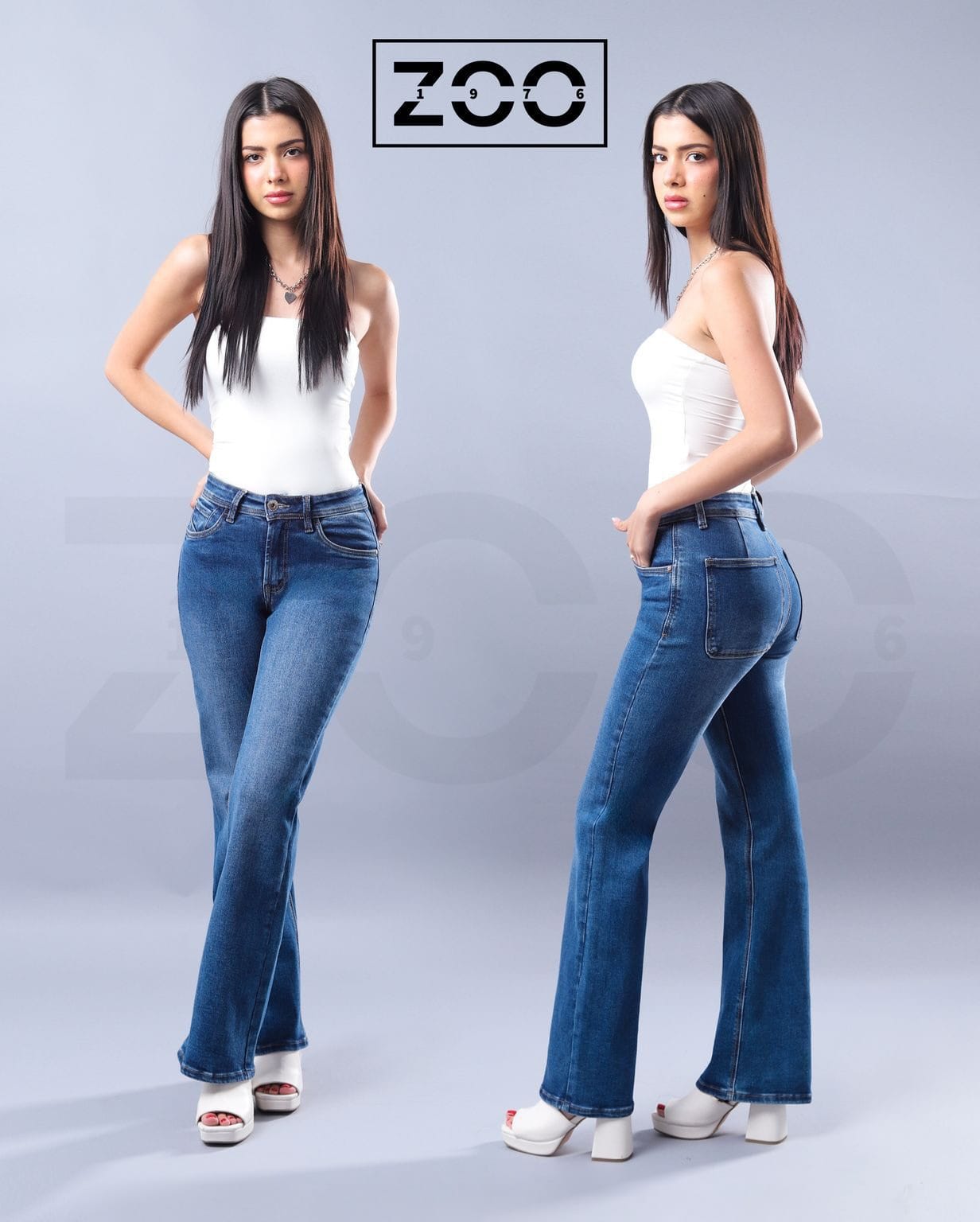 Modelo 15