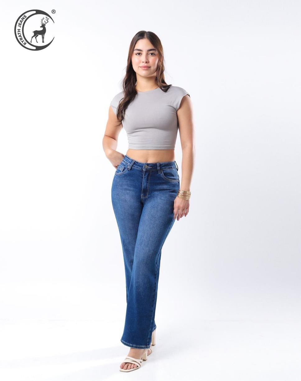 Modelo 2